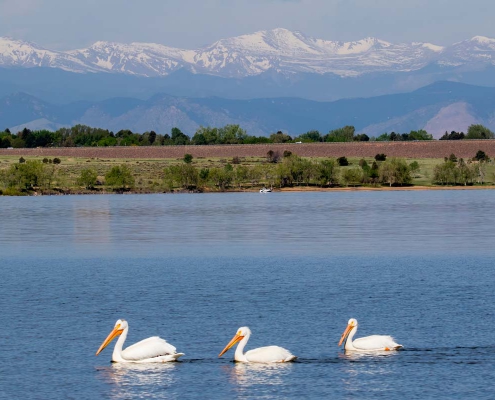 Lake in Aurora with Snowcapped Front Range Mountains