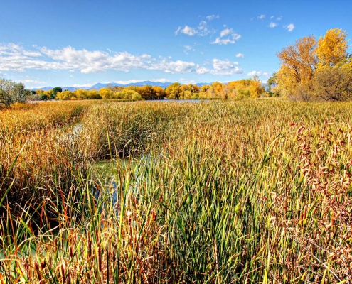 Arvada Open Space Looking West toward Foothills